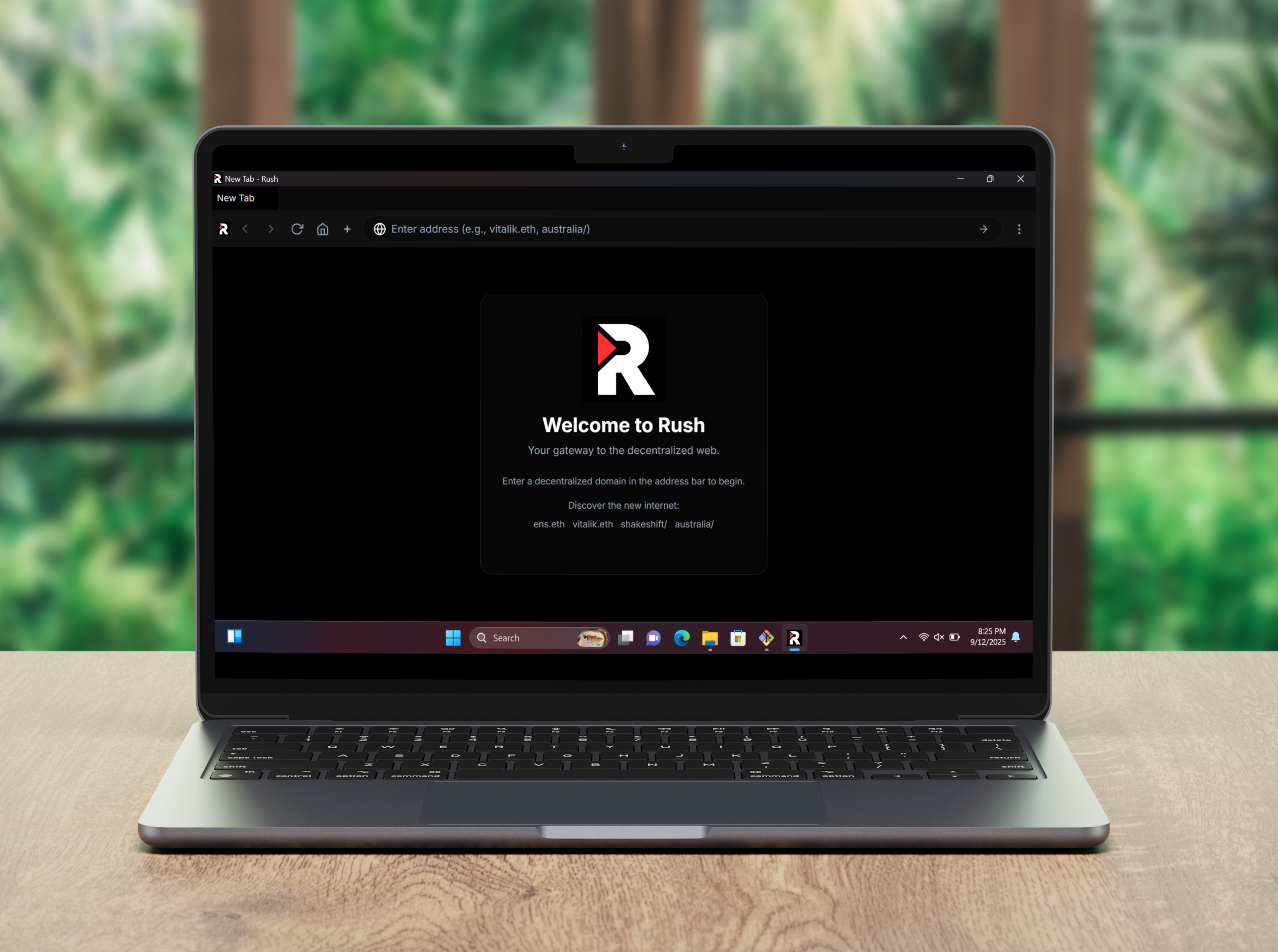 Rush Browser Interface Preview